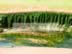 Green Curtain- Gamrie Bay.jpg (166kb)